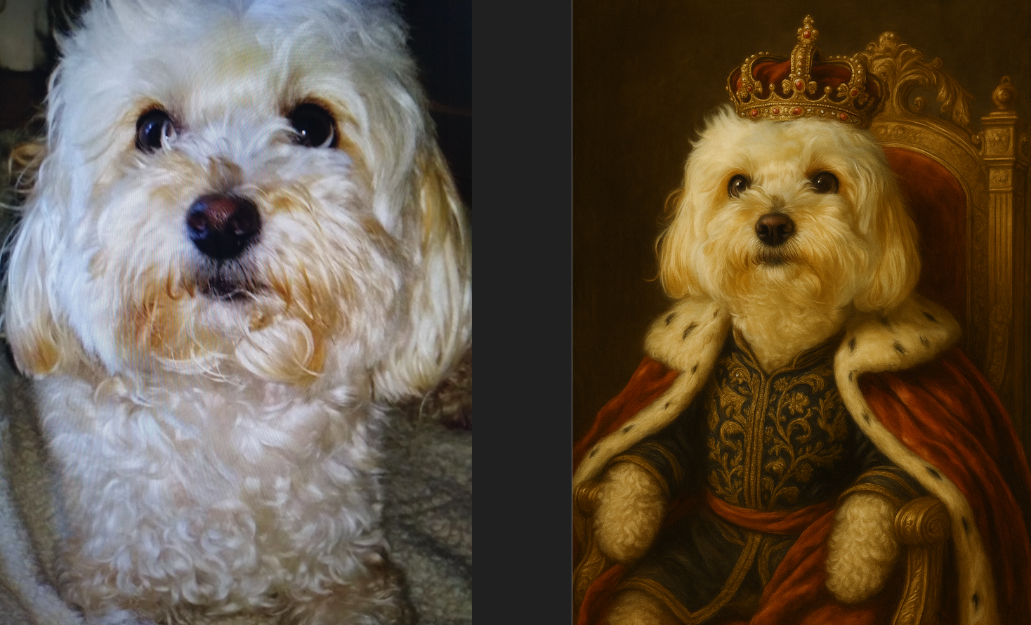 Pet Pics Remix | Upload Your Image