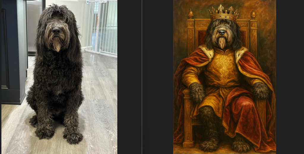 Pet Pics Remix | Upload Your Image