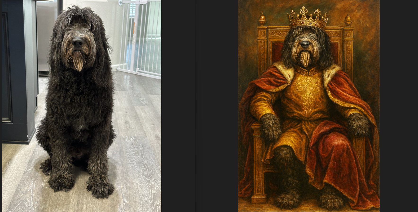 Pet Pics Remix | Upload Your Image